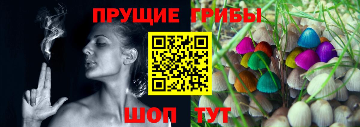 Псилоцибиновые грибы Psilocybine cubensis  Вход с VPN  Галлюциногенные грибы Psilocybe  Алатырь 